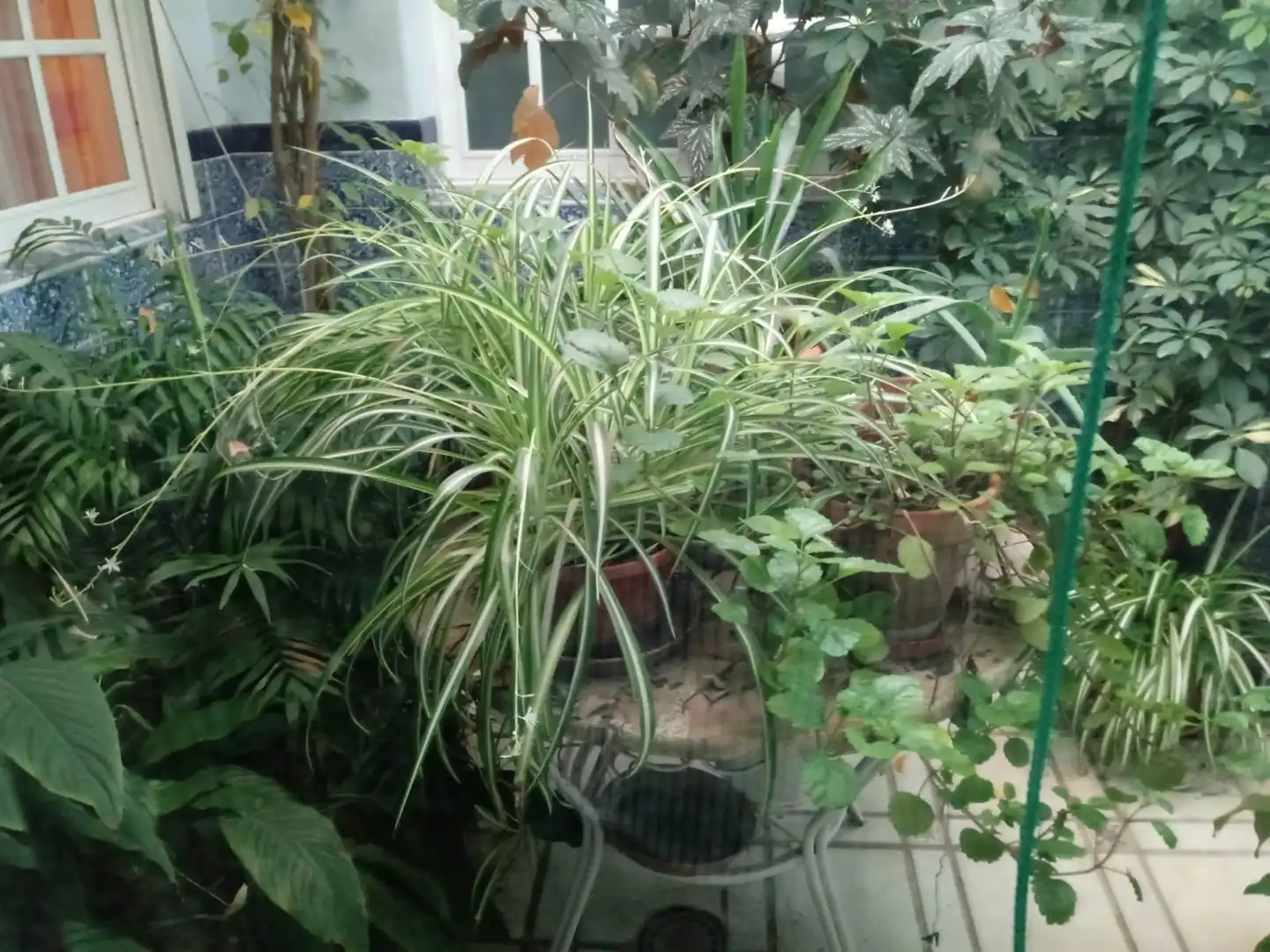 Piso en venta en Villanueva de la Serena, imagen 14