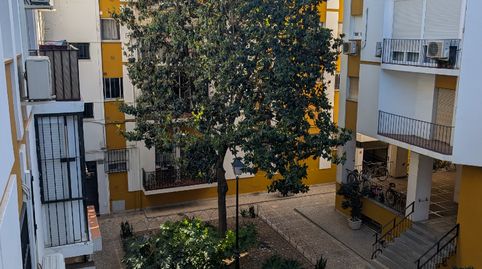 Photo 3 of Flat for sale in Calle Torneo, 57, San Vicente, Sevilla Capital