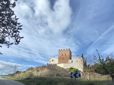 Hôtel à vendre à Camino la Torre