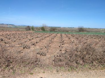 Terreno residencial en venta en Alberite