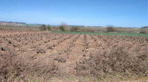 FINCA RÚSTICA - ALBERITE ()