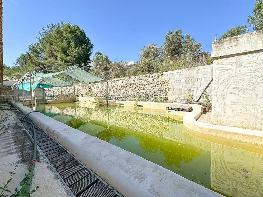 Maison à vendre à Poligono 3 Paraje 81 Pla De L'Horta, imagen 85