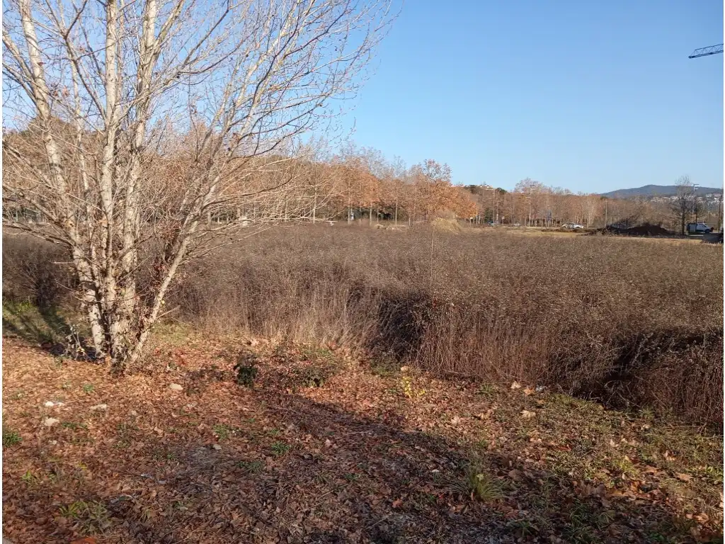 Residential land for sale in Carretera S Gregori-Domeny, imagen 4