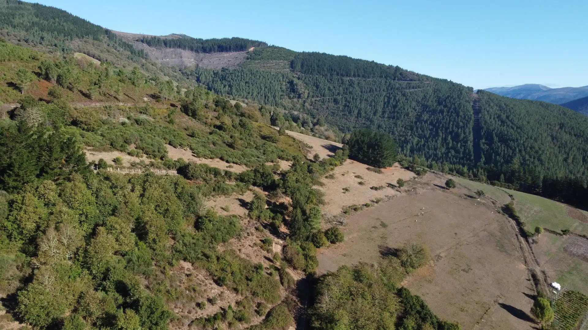 Finca rústica en venda en Negueira de Muñiz , Lugo