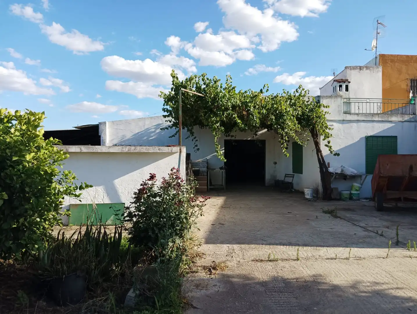 Vista exterior de Terreno en venta en La Algaba