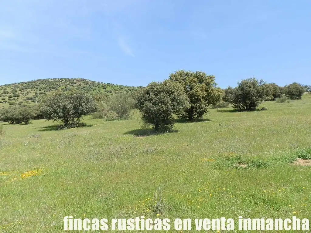 Rural land for sale in Calzada de Calatrava, imagen 17