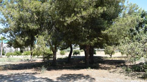 Photo 2 of House or chalet for sale in Alzabares, Elche / Elx