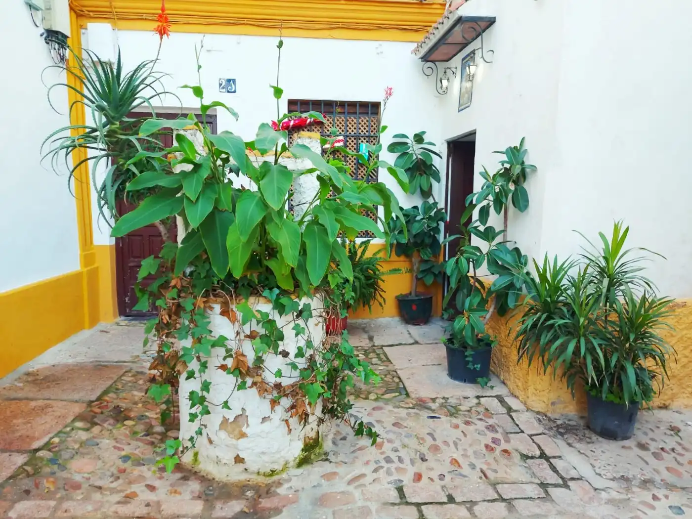 Maison à vendre à Centro, imagen 23