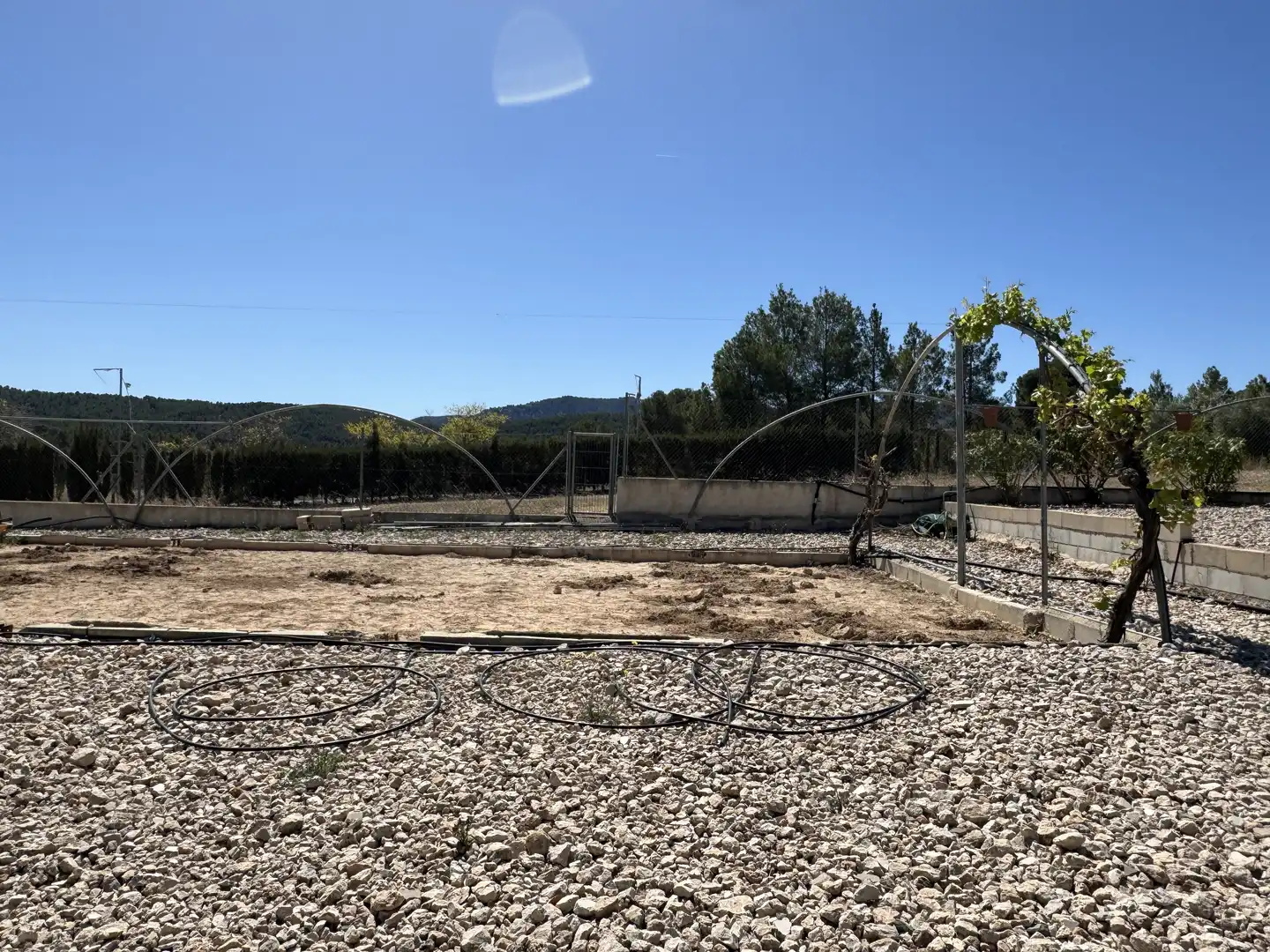 Casa o xalet en venda a Calle Santa Isabel, Cehegín