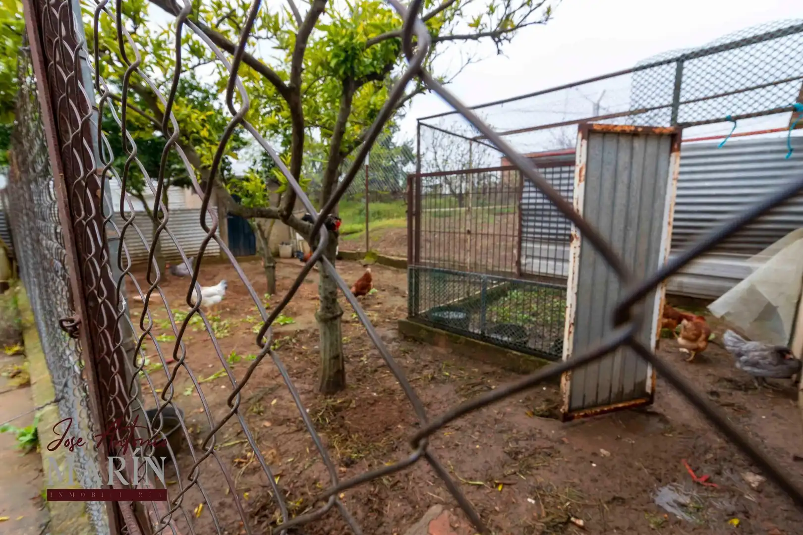 Jardí de Casa o xalet en venda en Badajoz amb Terrassa, Traster i Moblat