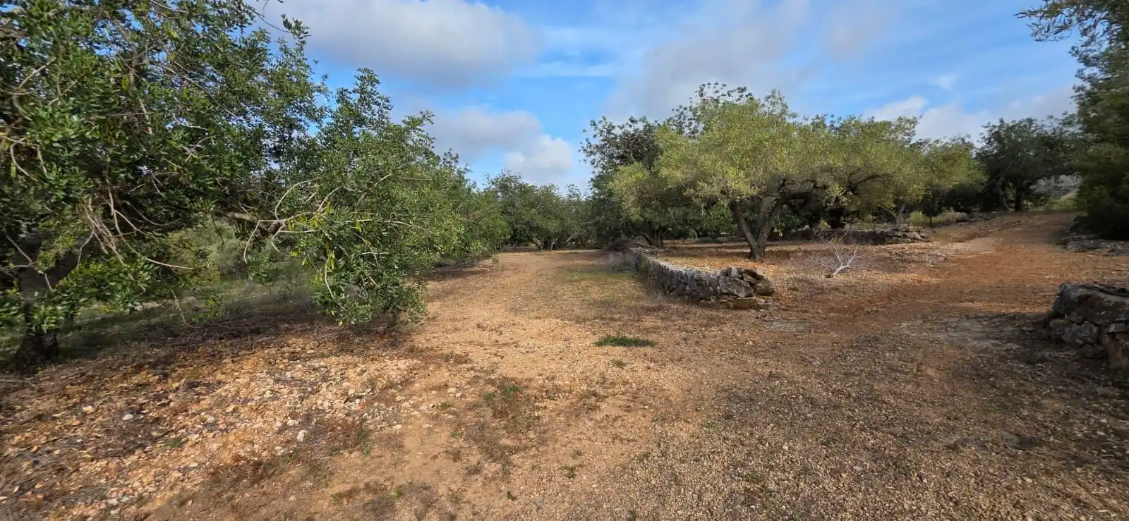 Country house for sale in El Perelló, imagen 12