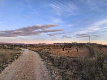 Terreno rustico in vendita a Yecla