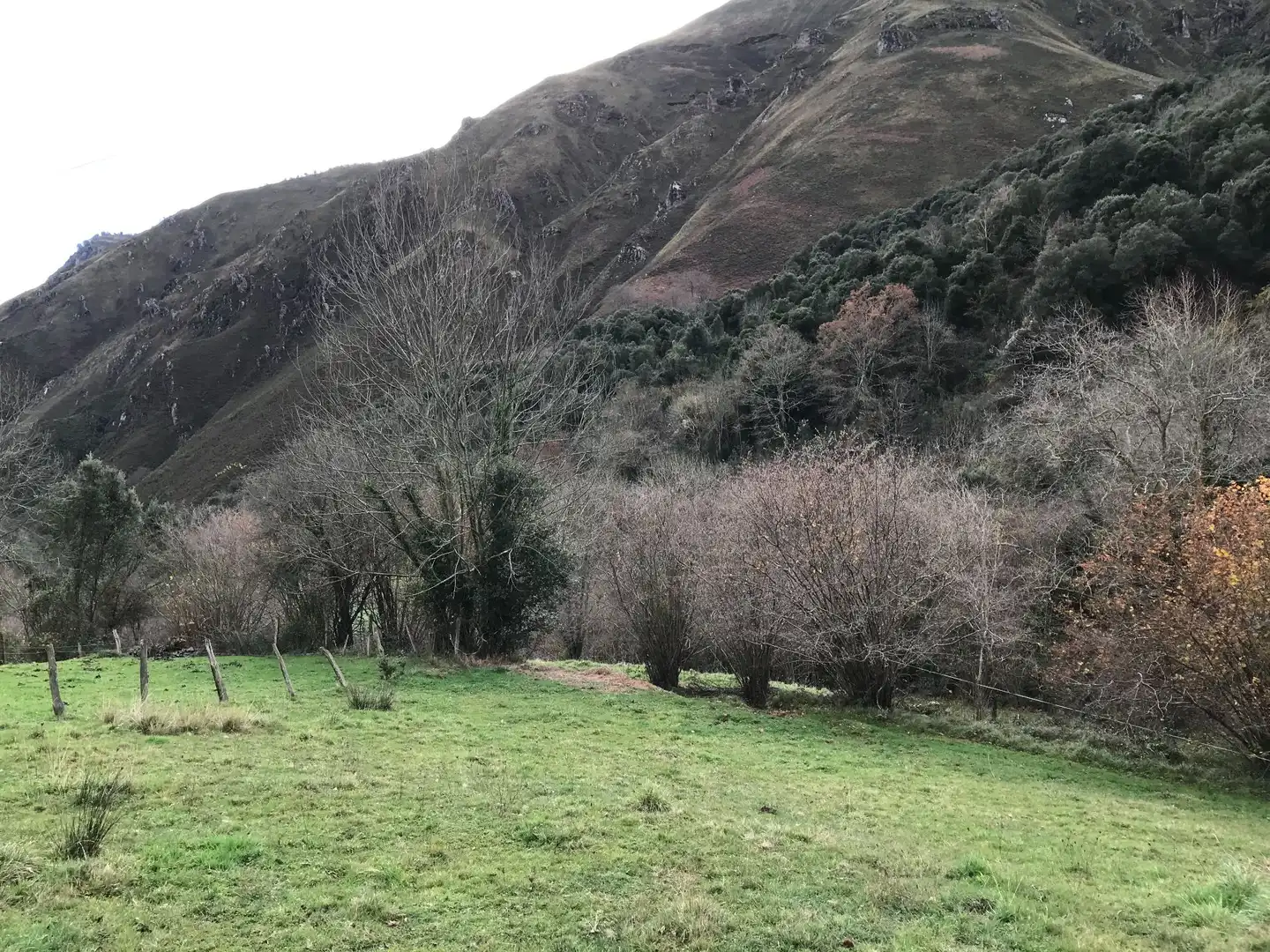 Lands and plots for sale in El Pontón, Rozagas, imagen 28
