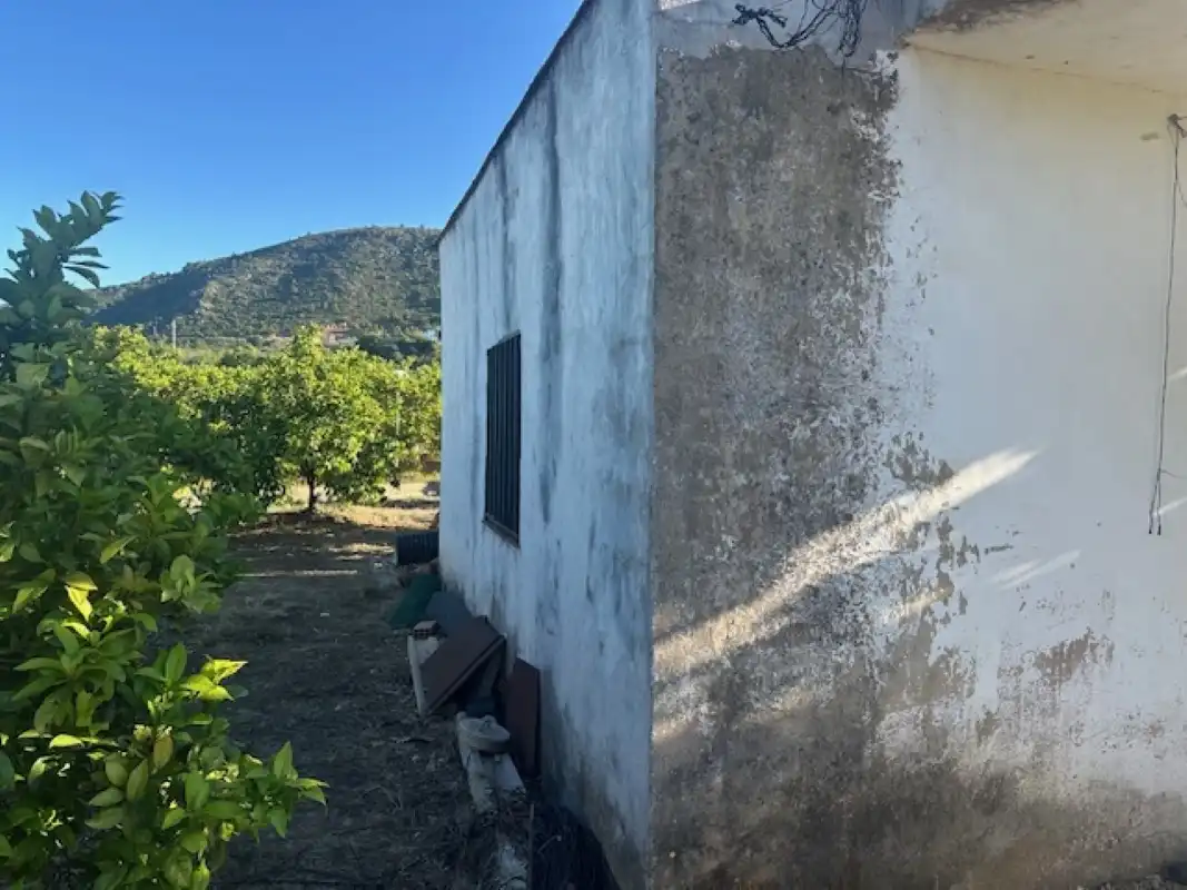 Vista exterior de Terreno en venta en Xeresa