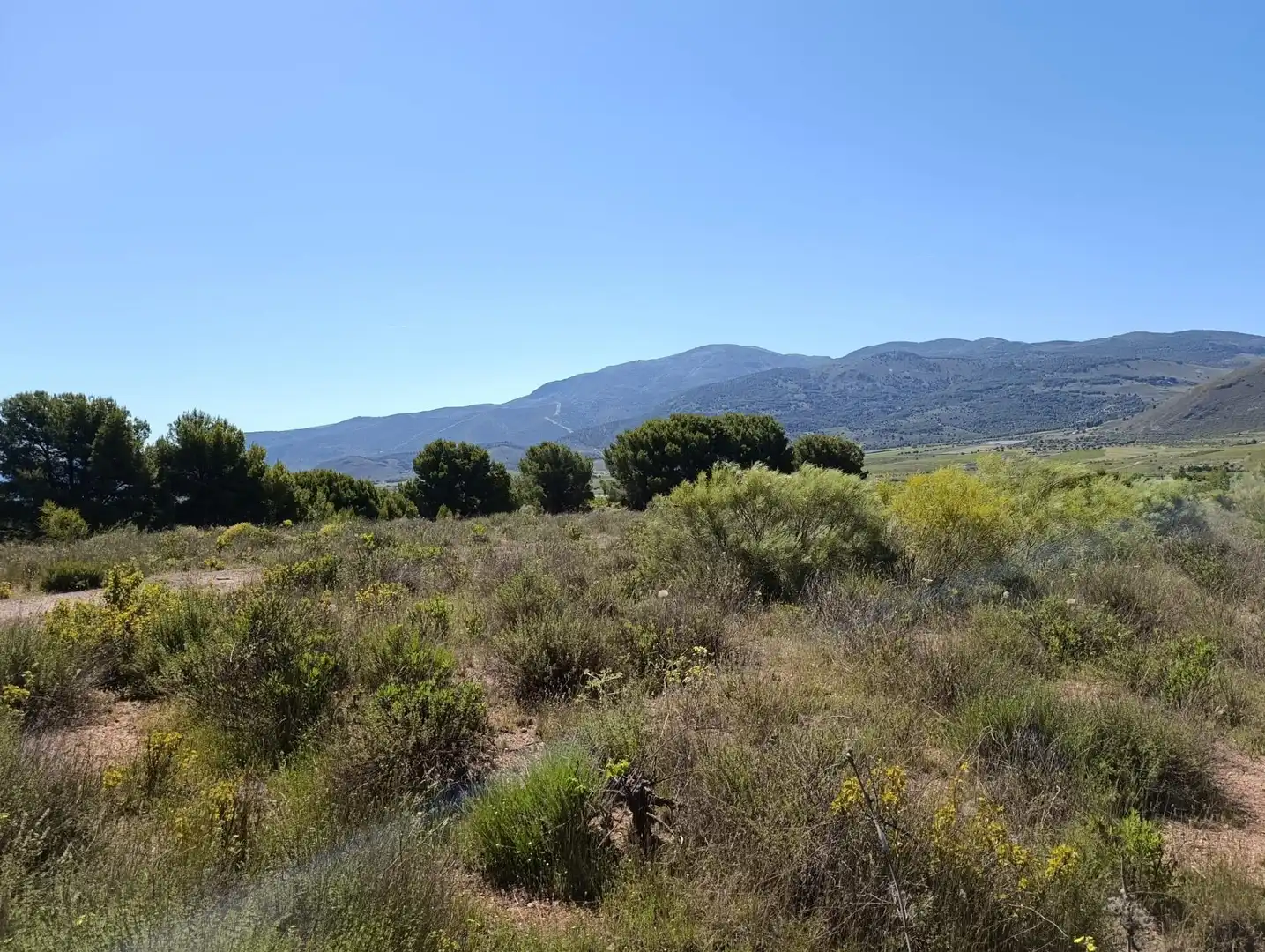 Terreny rústic en venda a Paterna del Río, imagen 7