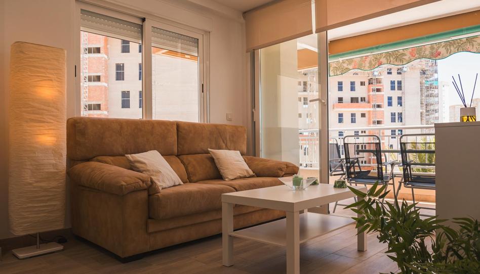 Photo 1 of Flat to rent in Calle del Torero Luis Francisco Esplá, PAU 5, Alicante