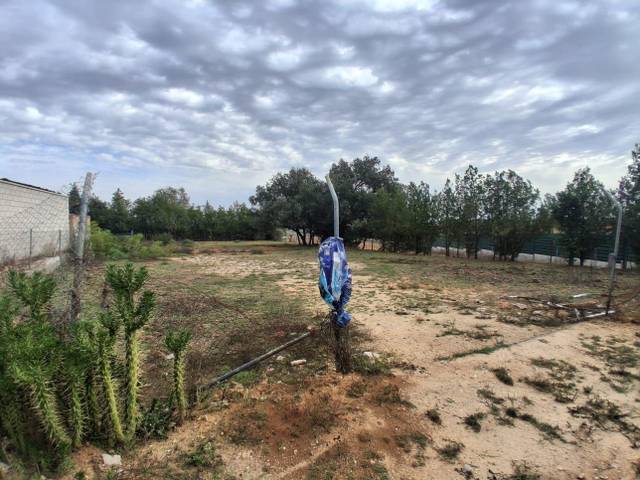 Terreno residencial en Venta en Almensilla