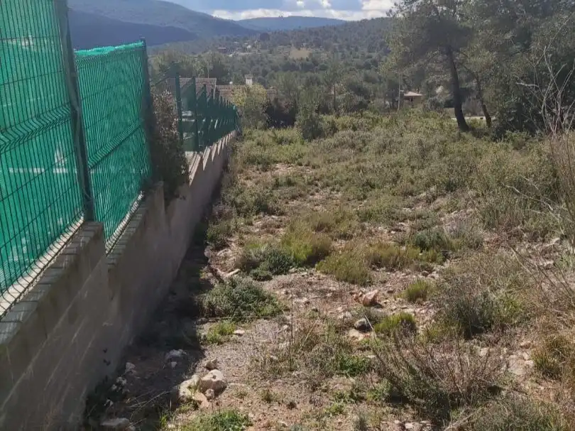 Terreno residenziale in vendita a Buenavista 1079, imagen 4