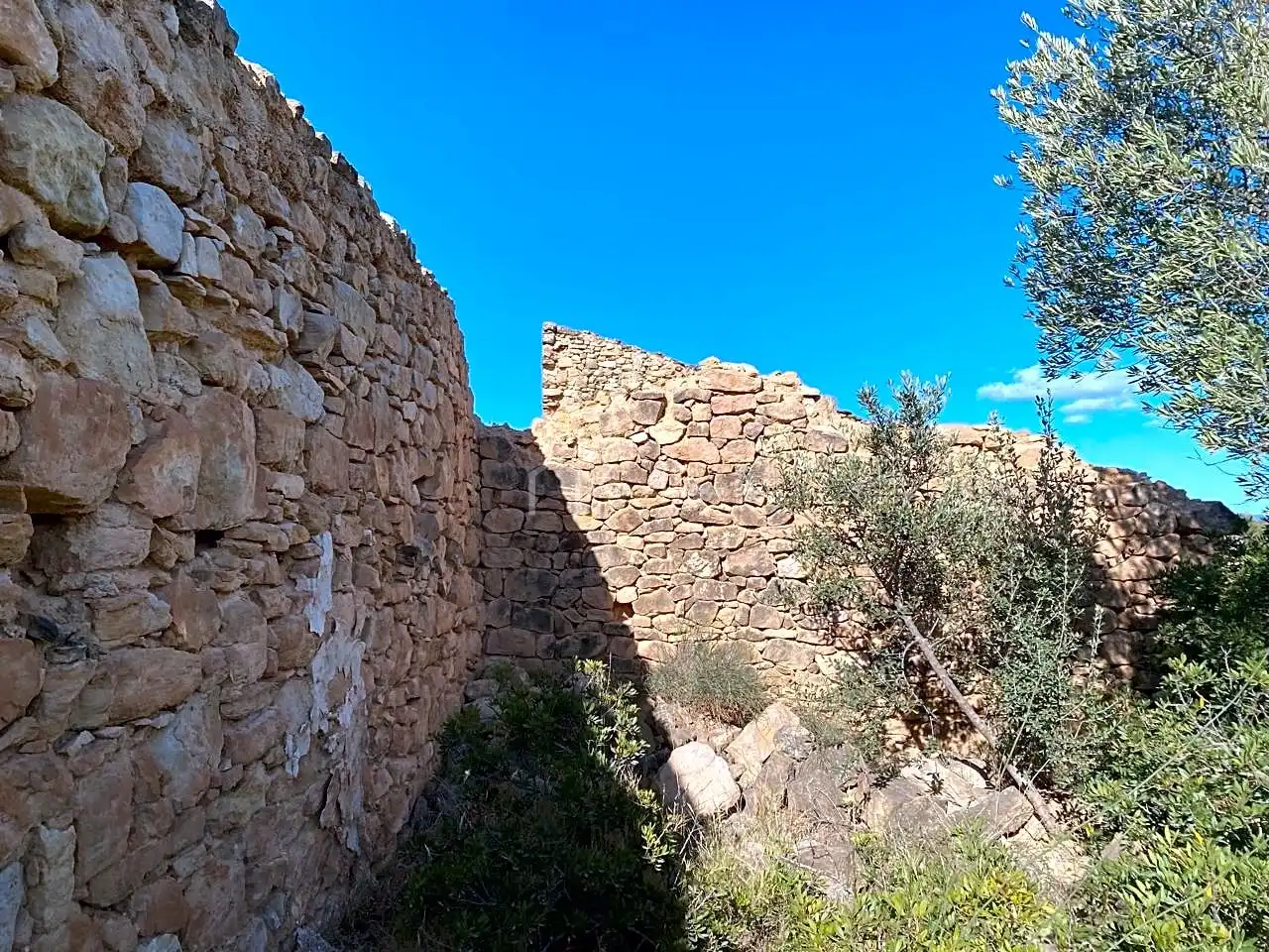 Terrain rustique à vendre à Partida Castellons, imagen 11
