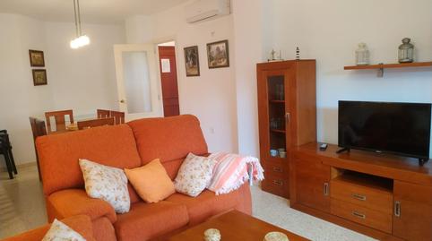 Foto 2 de Piso de alquiler en Calle Albatros, 1, El Pino - Bajo de Guía, Cádiz