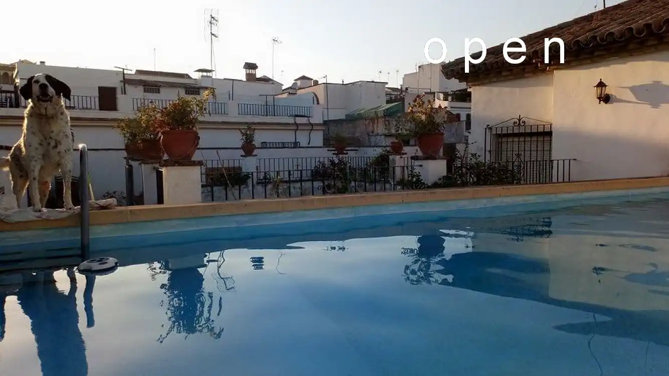 House with pool for sale in Centro, imagen 43