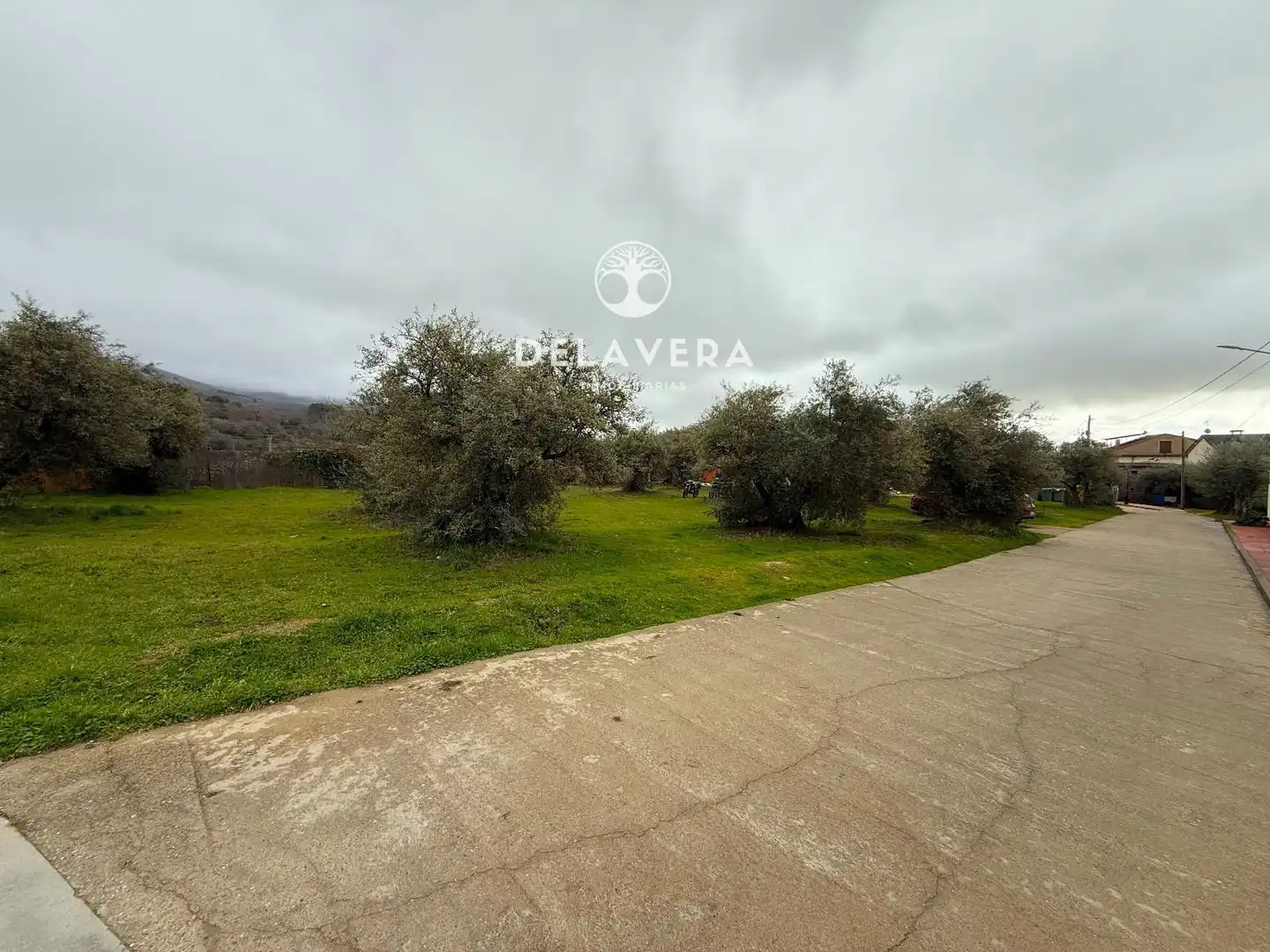 Land for sale in Candeleda