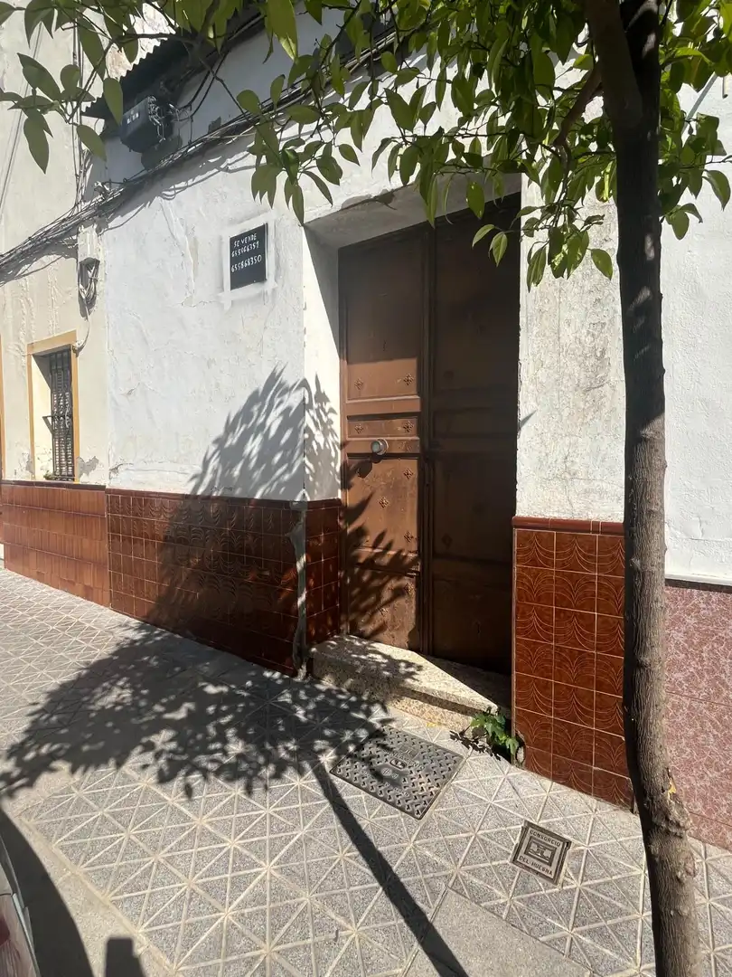 Vista exterior de Casa o chalet en venta en El Viso del Alcor