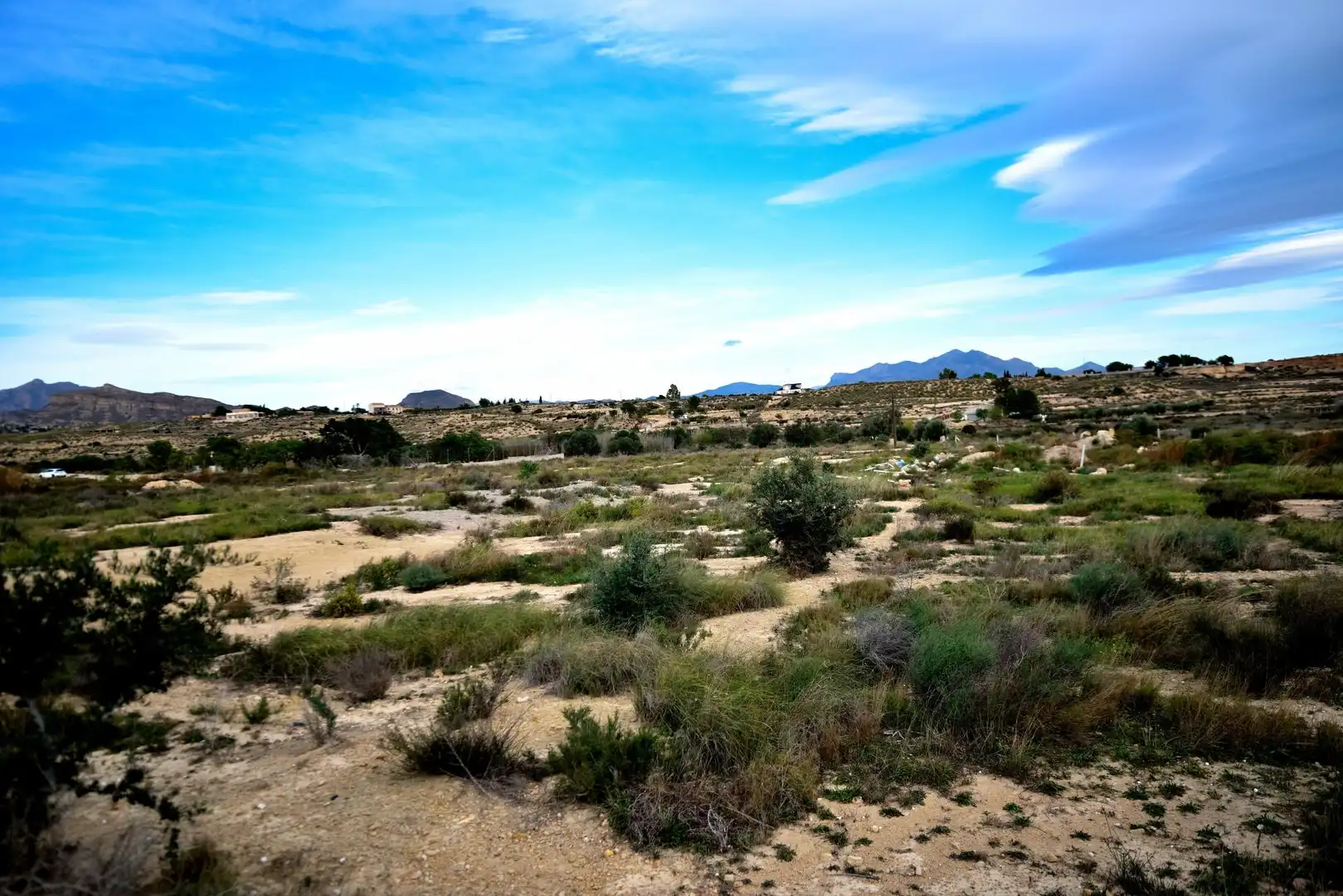 Rural land for sale in Villamontes - Boqueres, imagen 21