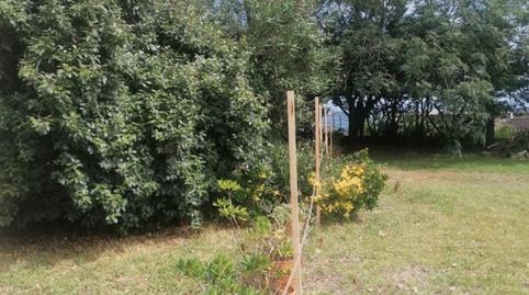 Photo 2 of Residential for sale in Lugar Insuela, Palmeira, A Coruña