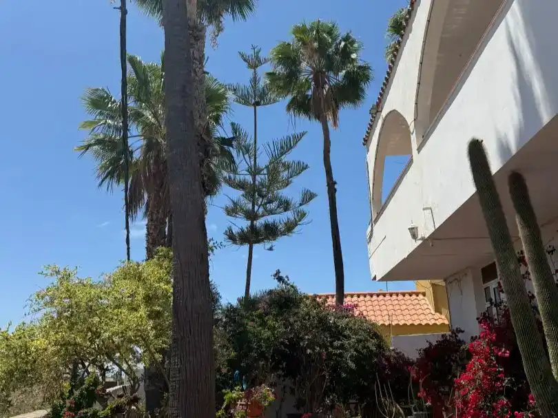 Vista exterior de Piso para compartir en San Bartolomé de Tirajana con Parquet y Amueblado