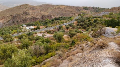 Terreno rústico en venta en Alcolea  7.971m2 en plena Alpujarra Almeriense., immagine 2