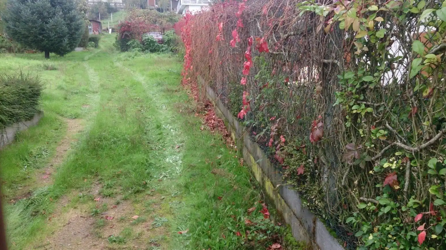 Terreni e lotti in vendita a San Cibrao das Viñas, imagen 3