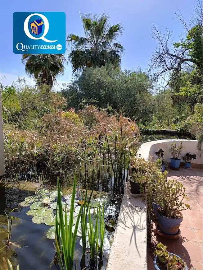 Jardí de Casa o xalet en venda en Elche / Elx amb Aire condicionat, Calefacció i Terrassa