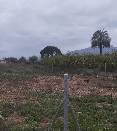 Foto 2 de Terreny de lloguer a Vereda Desamparados, Desamparados - Hurchillo - Torremendo, Alicante