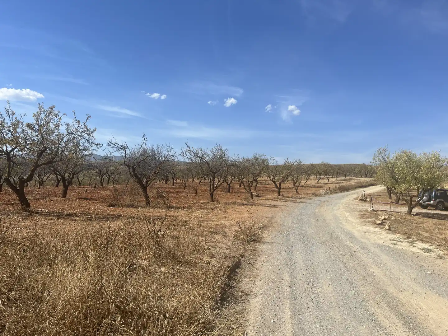 Rustikales Grundstück zum Verkauf in Avenida de Andalucía, imagen 17