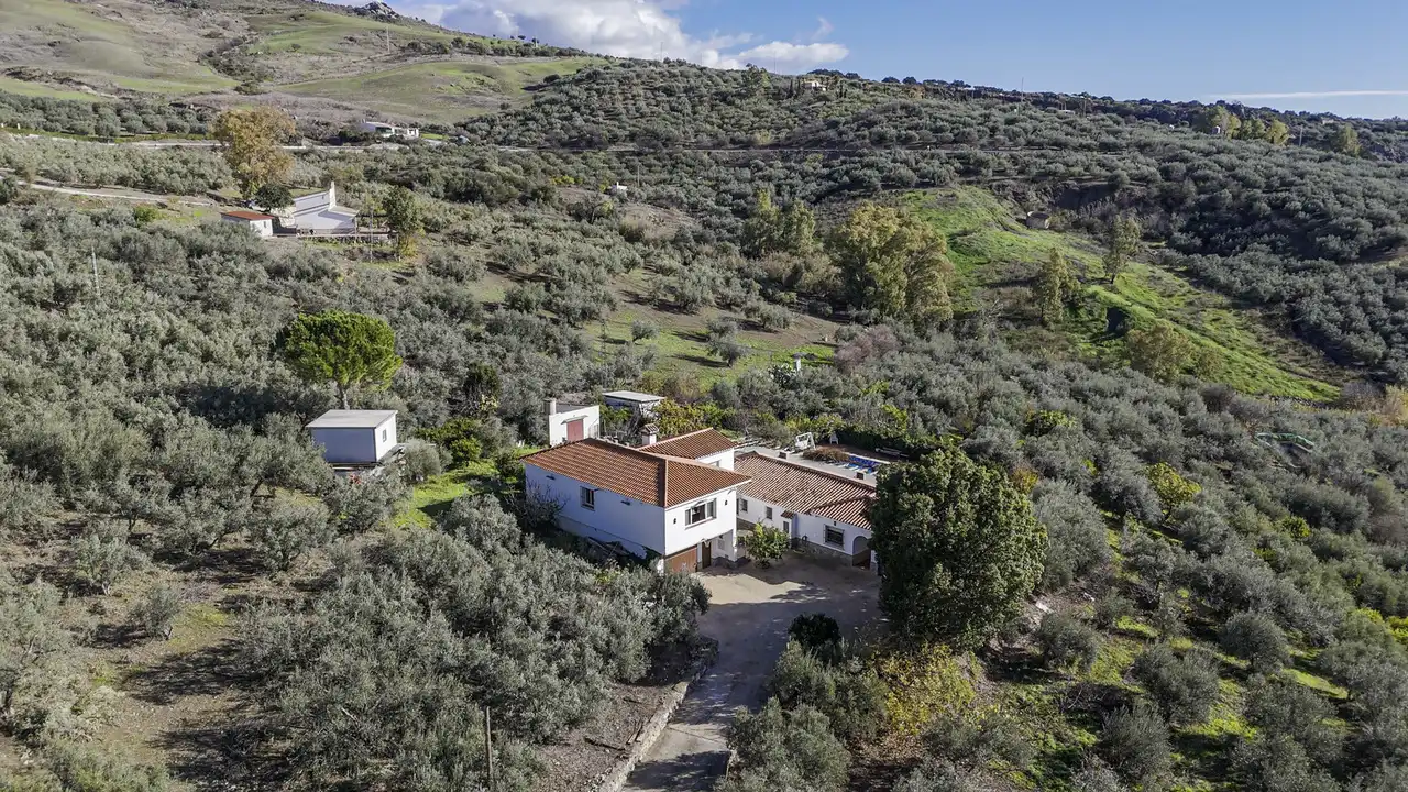 Vista exterior de Casa o chalet en venta en Periana con Aire acondicionado, Terraza y Piscina
