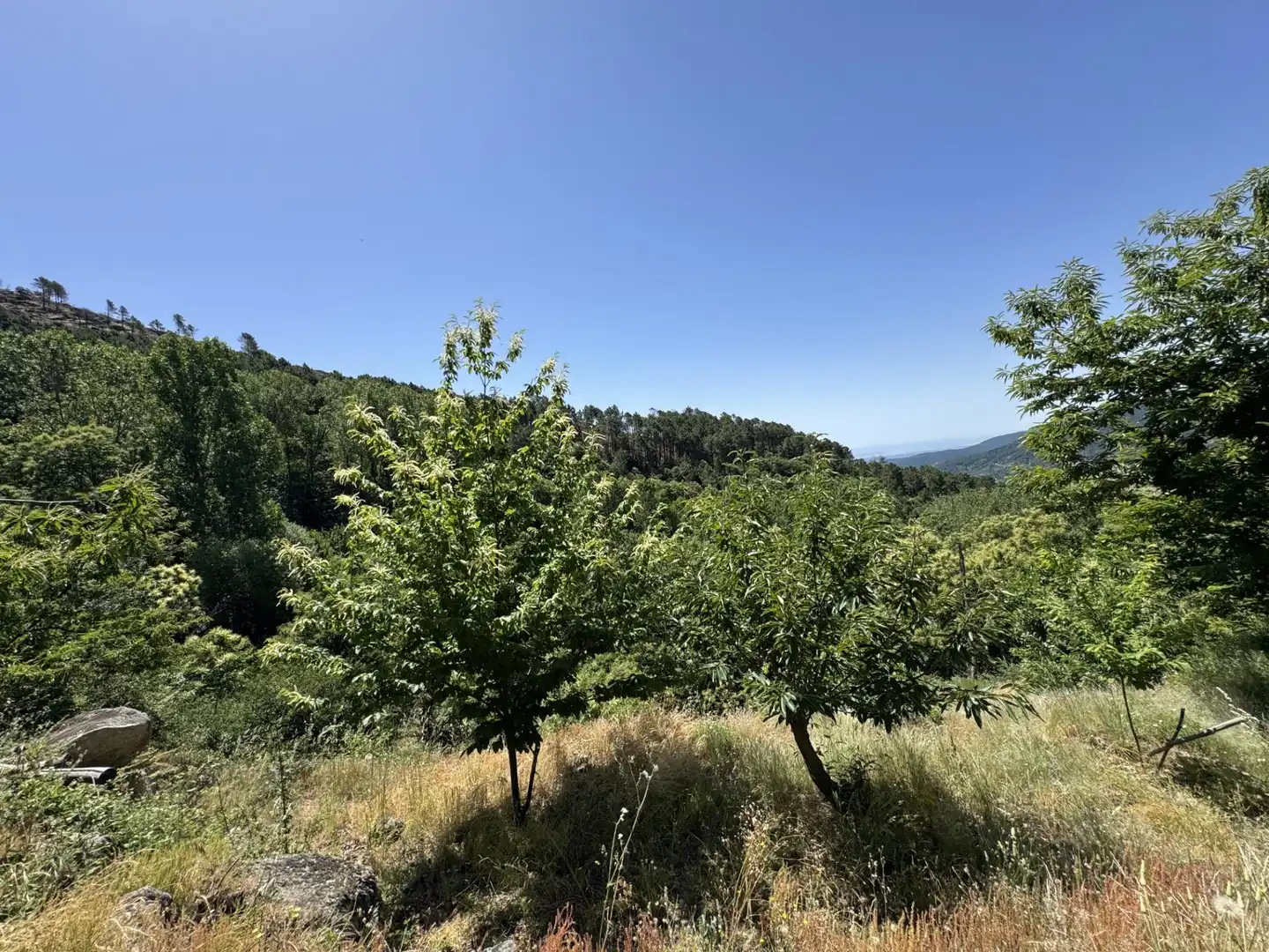 Finca rústica en venta en El Arenal  con Jardín privado
