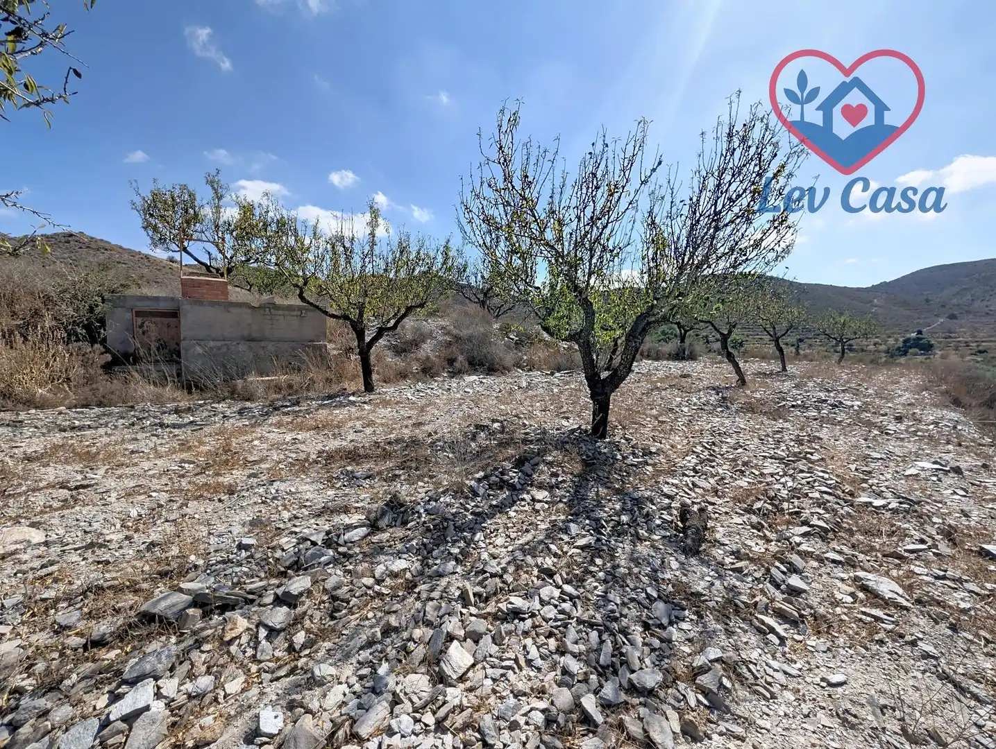 Terreno rustico in vendita a Playa del Galán, imagen 40