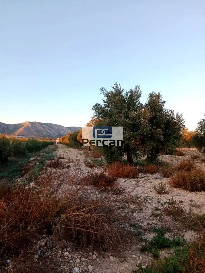 Terrenos y solares en venta en Mariscal, imagen 14