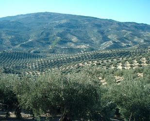 Residencial en venda a Puig d'en Valls