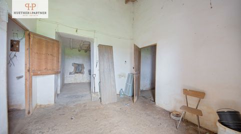 Foto 5 de Finca rústica en venda a Manacor Centre, Manacor