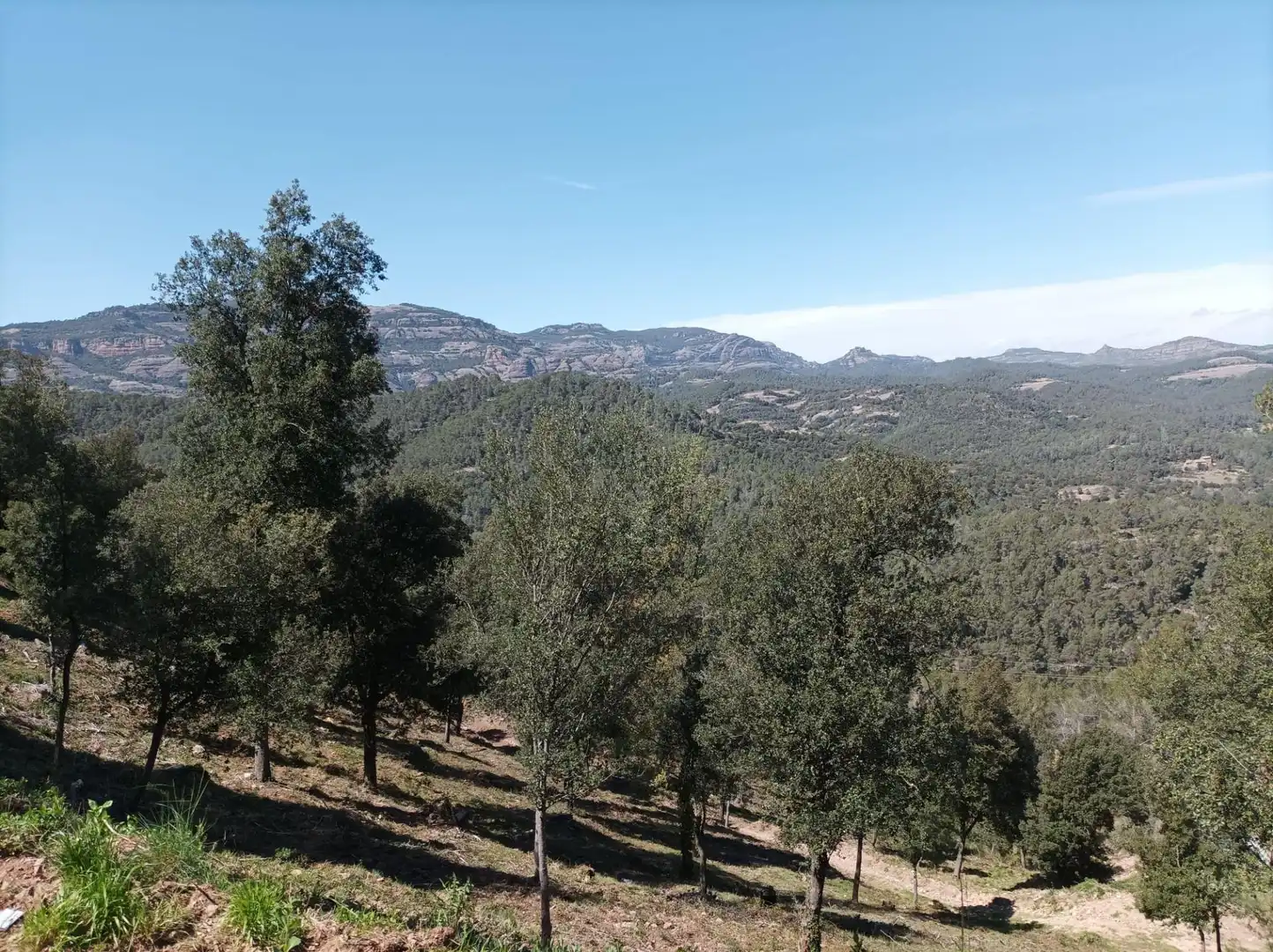 Wohnbaugrundstück zum Verkauf in El Racó - Sant Feliu del Racó, imagen 2