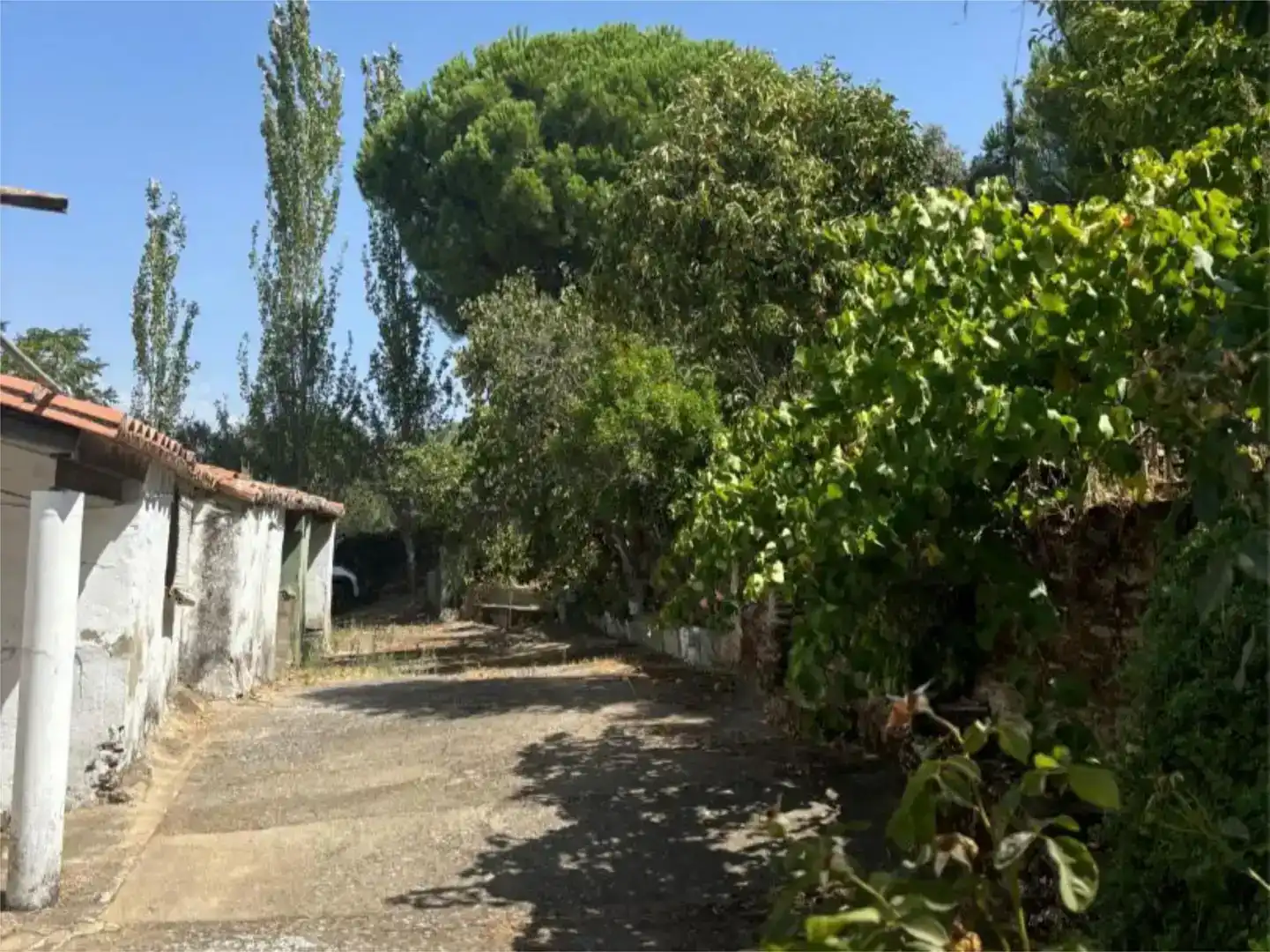 Vista exterior de Finca rústica en venda en Madroñera amb Jardí privat, Piscina i Moblat