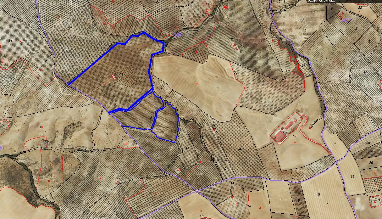 Terrains et parcelles à vendre à Campillos, imagen 19