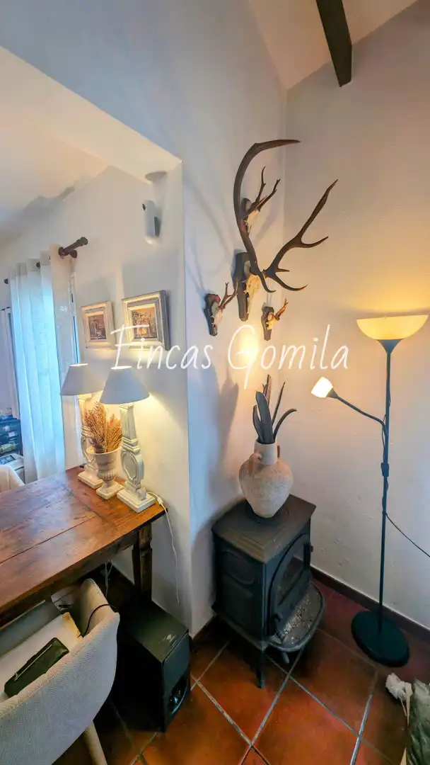 Casa o chalet en venta en Es Mercadal con Jardín privado y Terraza