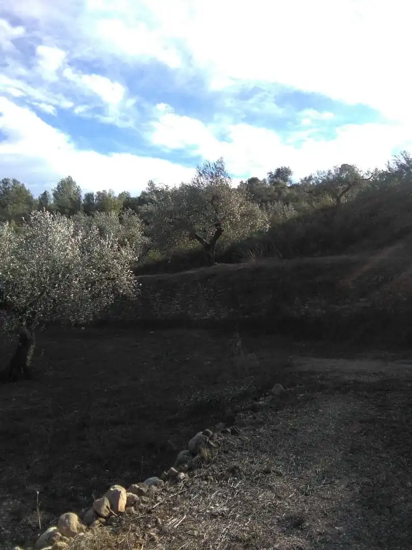 Country homes for sale in El Pinell de Brai