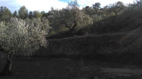 Foto 5 de Finca rústica en venda a El Pinell de Brai, Tarragona