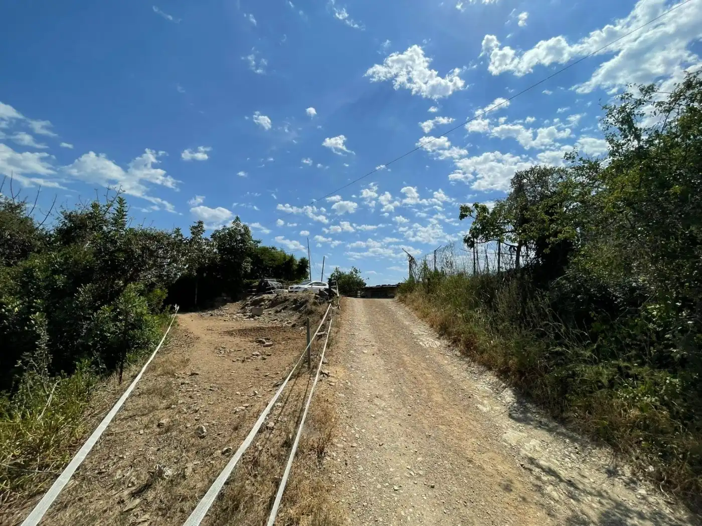 Rural land for sale in Sant Climent de Llobregat, imagen 6