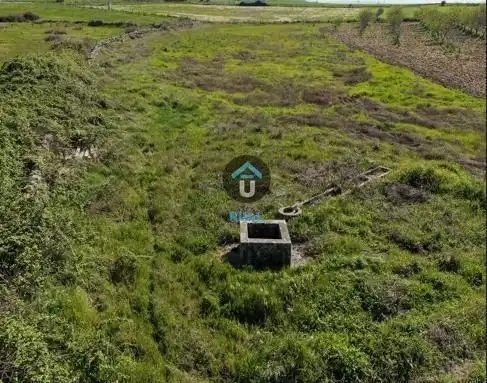 Land for sale in Herreruela de Oropesa