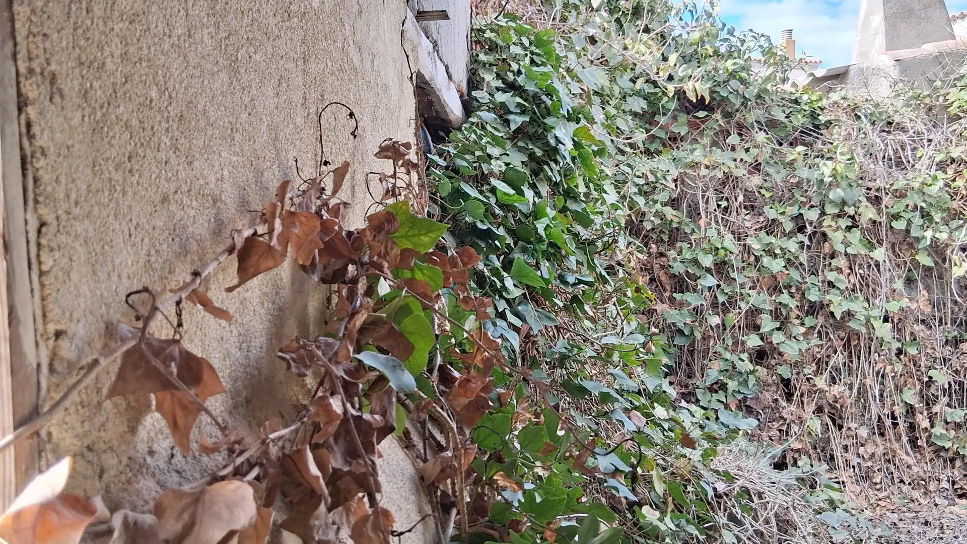 Vista exterior de Casa o xalet en venda en Garcihernández